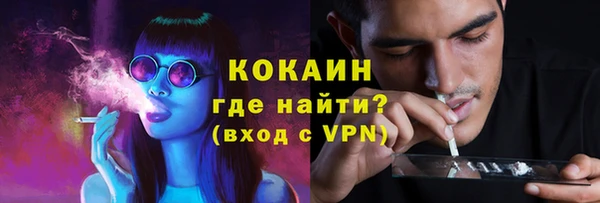 стафф Богородицк