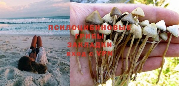крисы Белокуриха