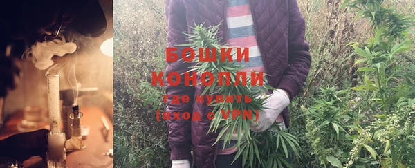 хмурый Богородск