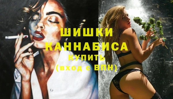 стафф Богородицк