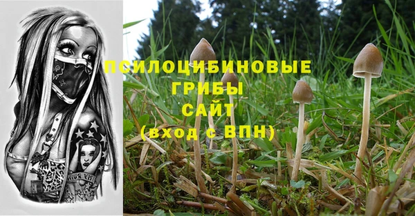 крисы Белокуриха