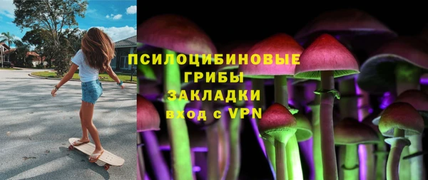 стафф Богородицк