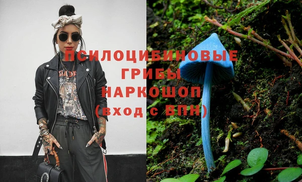 стафф Богородицк