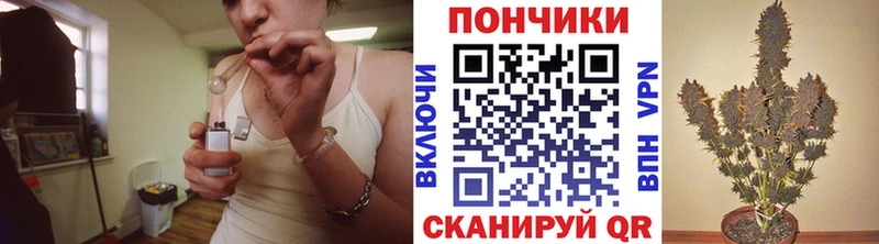 где найти   KRAKEN tor  Шишки марихуана ГИДРОПОН  Боровичи 